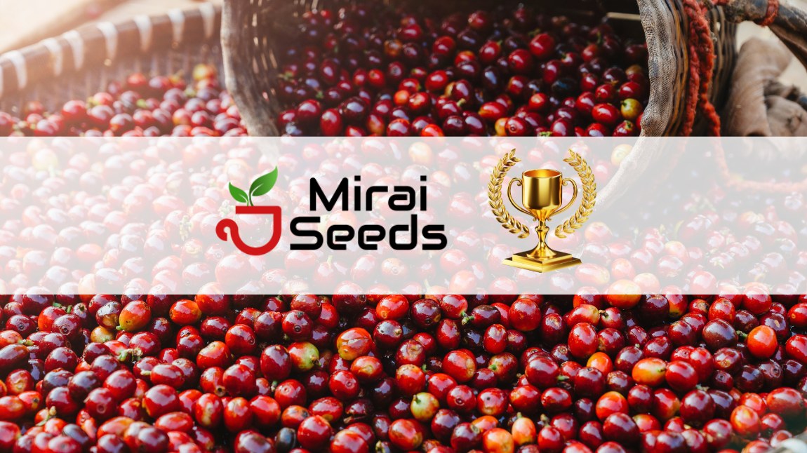 ダイレクトトレードとフェアトレードの違いとは｜生産者支援とコーヒー品質の関係