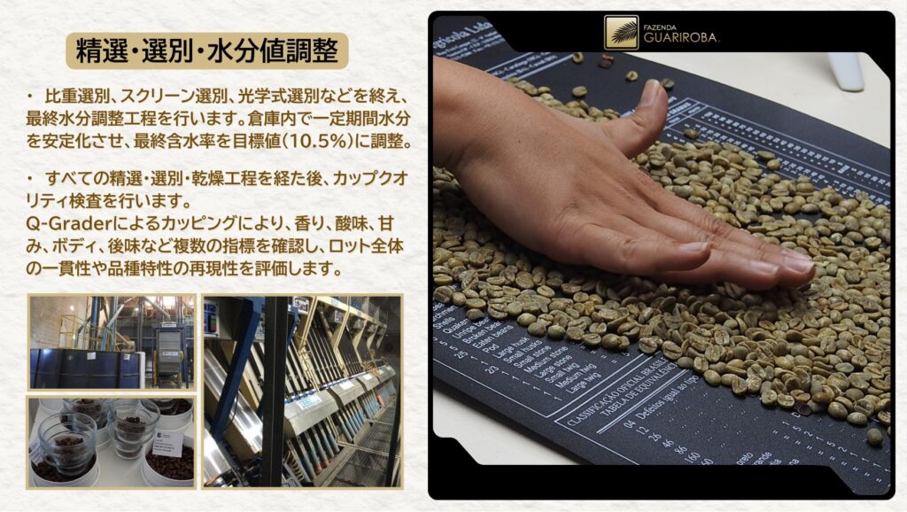 選別・乾燥・水分調整・品質チェック