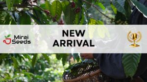 【事前予約受付中】 NEW CROP