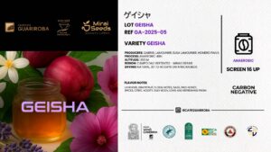 GA-2025-05 GEISHA / ANAEROBIC FERMENTATION / NATURAL
