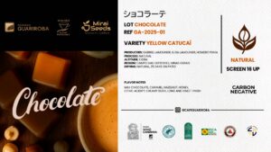 GA-2025-01 CHOCOLATE / YELLOW CATUCAI / SUNDRIED