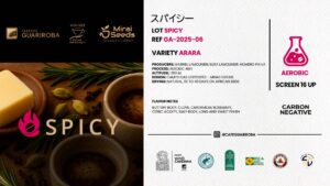 GA-2025-06 ARARA / ROUTE AEROBIC / NATURAL