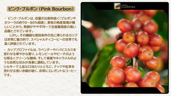 終売」GA-2025-03 FLORAL / PINK BOURBON / DOUBLE FERMENTATION