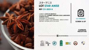 CO-2025-B STAR ANISE
