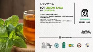 CO-2025-D LEMON BALM