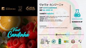 GA-2025-07 VOVO CANDINHA / PARAISO / DOUBLE FERMENTATION