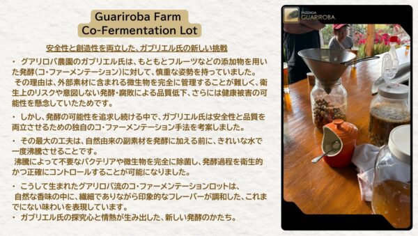 GA-2025-C / Co-FERM / BASIL / 10kg - Mirai Seeds Specialty Coffees