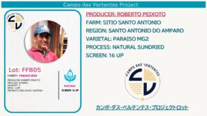 「終売」FFB05 CAMPO DAS VERTENTES PROJECT - ROBERTO PEIXOTO / 10kg