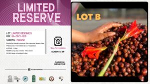 「終売」GA-2025-200 LIMITED RESERVE B / PARAISO / 10k