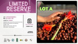 GA-2025-100 LIMITED RESERVE A / PARAISO / 10kg