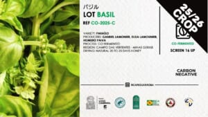 GA-2025-C / Co-FERM /  BASIL / 10kg