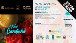 GA-2025-07 VOVO CANDINHA / PARAISO / DOUBLE FERMENTATION / 10kg