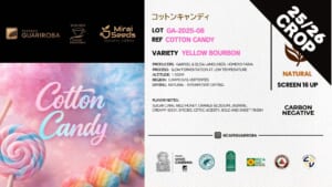 GA-2025-08 COTTON CANDY / YELLOW BOURBON / LOW TEMPERATURE / 10kg