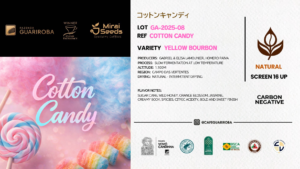 GA-2025-08 COTTON CANDY / YELLOW BOURBON / LOW TEMPERATURE / 10kg
