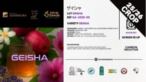 GA-2025-05 GEISHA / ANAEROBIC FERMENTATION / NATURAL / 10kg