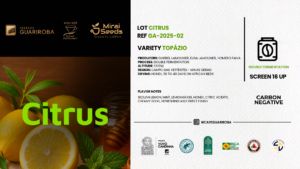 GA-2025-02 CITRUS / TOPAZIO / DOUBLE ANAEROBIC FERMENTATION / BLACK HONEY / 10kg