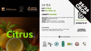 GA-2025-02 CITRUS / TOPAZIO / DOUBLE ANAEROBIC FERMENTATION / BLACK HONEY / 10kg