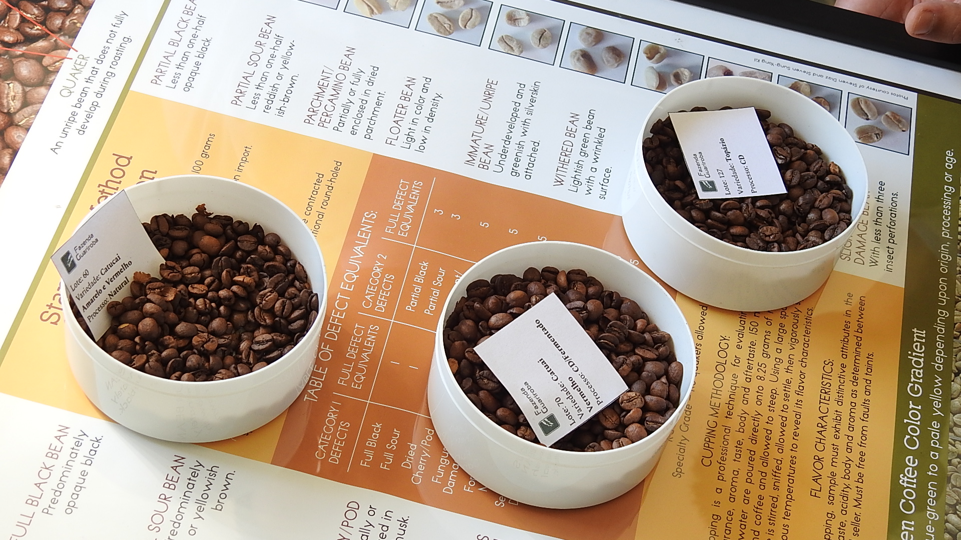 グアリロバ農園でのコーヒー生産（生産・トレーサビリティに関する用語）