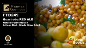 「23-24クロップ」249 RED ALE / ARARA NATURAL FERMENTATION 10kg