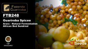 「23-24クロップ」248 SPICY / ARARA NATURAL FERMENTATION 10kg