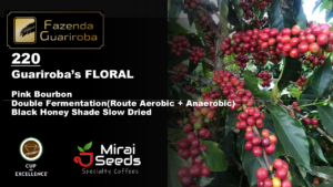 「24/25クロップ」GA-2025-03 FLORAL / PINK BOURBON / DOUBLE FERMENTATION / NATURAL / 10kg