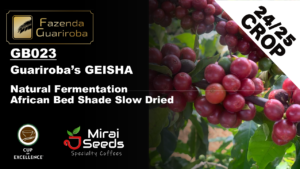 【24/25 CROP】GB-023 GEISHA / NATURAL ANAEROBIC FERMENTATION 46HR / SHADE DRIED / 12kg
