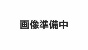 GA-2026-05 GEISHA / ANAEROBIC FERMENTATION / NATURAL / 10kg
