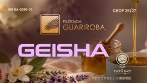 ブラジル グアリロバ農園 GA-2026-05 ゲイシャ ナチュラル アナエロビックファーメンテーション コーヒー生豆 10kg