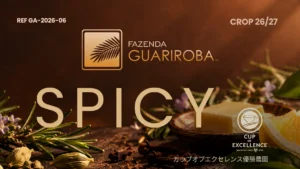 ブラジル グアリロバ農園 GA-2026-06 スパイシー アラーラ ルートアエロビック好気性発酵 ブラックハニー コーヒー生豆 10kg