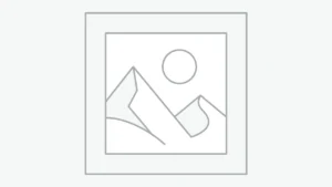 プレースホルダー